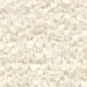 Off-white boucle fabric texture, Bizzotto collection B1 – Yeti, dense woven knit with subtle creamy and beige yarn variations.